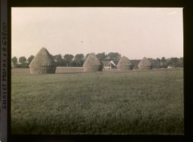 Image représentant Seine et Marne, Guermantes, Groupe de meules de Blé