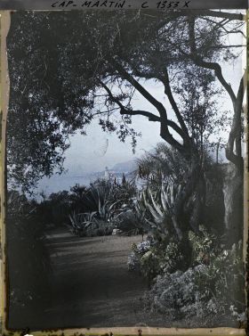 Image représentant Le jardin avec vue vers Monaco