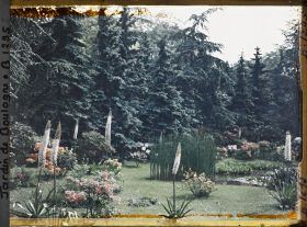 Image représentant La pelouse près du marais