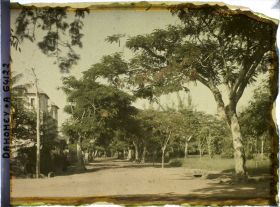 Image représentant Une allée de la Résidence du gouverneur