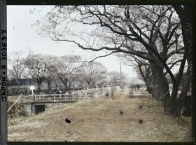 Image représentant Promenade à Koganei