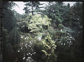 Image représentant Rocaille du " sanctuaire japonais " située entre le sorinto et le verger-roseraie