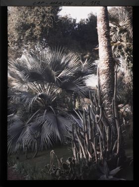 Image représentant Le jardin de l'Impératrice Eugénie