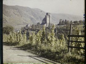 Image représentant Allemagne, Oberwesel, St Martin à travers les vignes