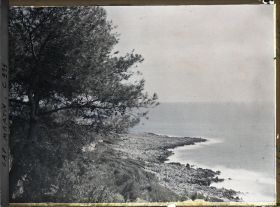 Image représentant Un pin près de la pointe du cap vue en direction de l'est