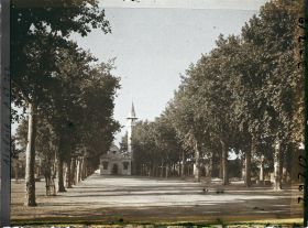 Image représentant Avenue de la Mosquée