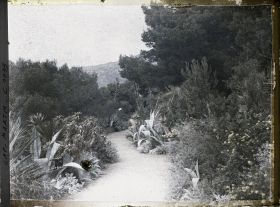 Image représentant le jardin