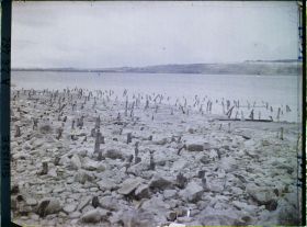 Image représentant Site palafittique préhistorique des Alpes, pieux en bois visibles lors de la baisse des eaux après la grande sécheresse de 1921