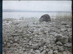 Image représentant Site palafittique préhistorique des Alpes, pieux en bois visibles lors de la baisse des eaux après la grande sécheresse de 1921