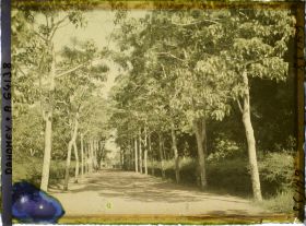 Image représentant Avenue de l'hôpital