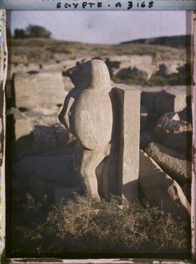 Image représentant Statue du dieu Thot dans le temple de Mout