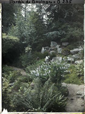 Image représentant Portion d'allée du " sanctuaire japonais " longeant un éboulis de pierres proche de la façade de temple