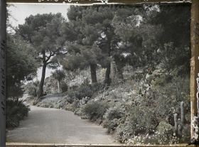 Image représentant Le jardin, Gde allée vers Monaco