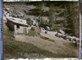 Image représentant Les champs de blé du hameau de Findelen