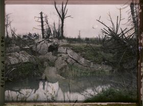 Image représentant France, Condé s/ Suippe, Rives de la Suippe