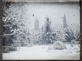Image représentant La forêt bleue sous la neige
