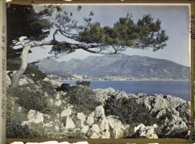 Image représentant Pin du cap Martin, soulignant un panorama sur Menton et ses environs