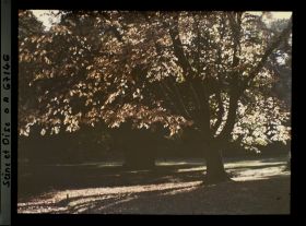 Image représentant Le parc