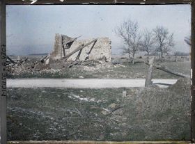 Image représentant Maison en ruines et arbre coupé