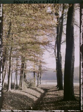Image représentant France, Versailles, Parc de Versailles