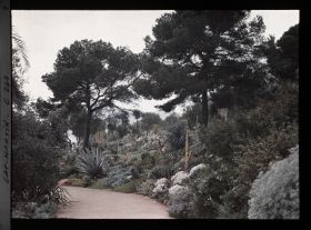 Image représentant Cap-Martin - Le Jardin