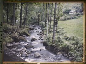 Image représentant Vallée de la Cance, les rochers