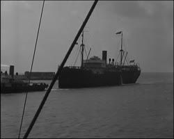 Image représentant Pêche à la morue