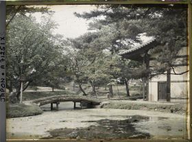 Image représentant jardin