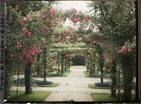 Image représentant Axe central du verger-roseraie vu vers le jardin anglais, près du rond-point côté jardin français