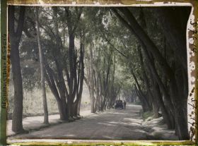 Image représentant Une allée du village