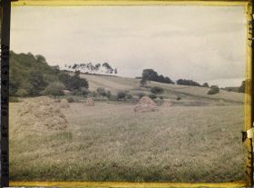 Image représentant Ile de France, Magny en Vexin , Pré fauché