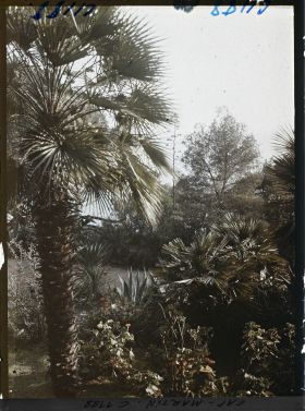 Image représentant le Jardin