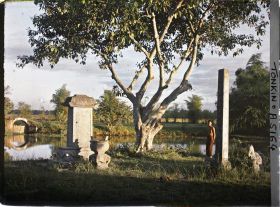 Image représentant Stèles et statues de pierre conduisant à la sépulture mandarinale au soleil couchant