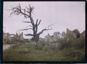 Image représentant France, Haudremont Carrières, Bois près des Carrières d'Haudremont