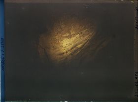 Image représentant La grotte des Trois-Frères : l'hémione