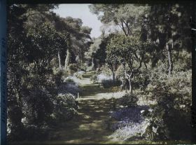Image représentant Elément construit du jardin de la villa Cypris, au fond d'une allée enherbée et fleurie