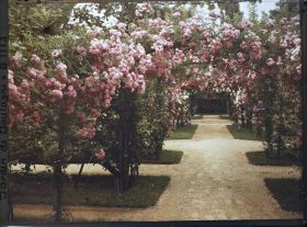 Image représentant Axe central du verger-roseraie vu à mi-parcours, en direction de la dépendance