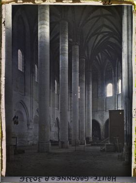 Image représentant Les piliers et le palmier de l'église des Jacobins