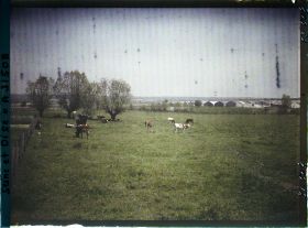 Image représentant France, Fontenay-Fleuri, Pâture à la Sortie de St Cyr