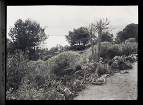 Image représentant Le jardin, vue vers la mer