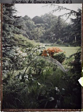 Image représentant Eremurus et divers arbustes en fleurs proches du marais, vus en direction du nord-est