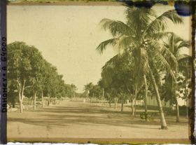 Image représentant L'avenue d'Awansoli dans le quartier européen
