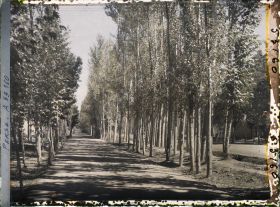 Image représentant L'allée centrale piétonne bordée de platanes du Tchehar Bagh (avenue des Quatre-Jardins)