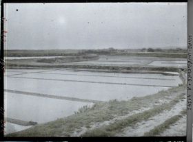 Image représentant Les marais salants