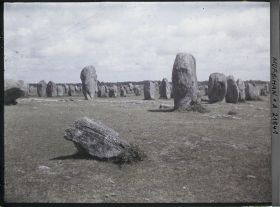 Image représentant Alignements de menhirs