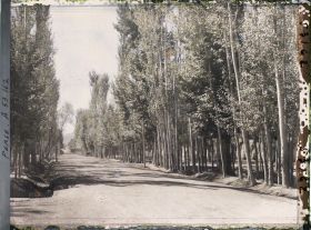 Image représentant L'allée carrossable bordée de platanes du Tchehar Bagh (avenue des Quatre-Jardins)