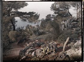 Image représentant Cap Martin - Le Jardin