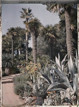 Image représentant Cap-Martin - Le Jardin