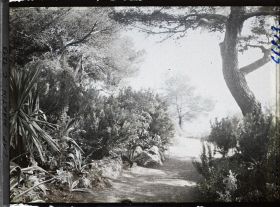 Image représentant le Jardin