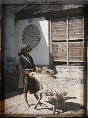 Image représentant Le battage du riz après la moisson devant la pagode de Dap-Câu